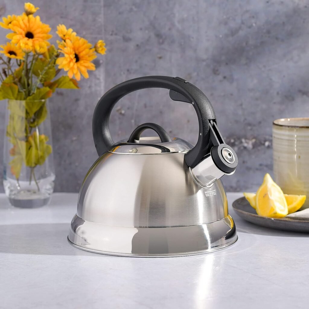 Mr Coffee Tea Kettle
